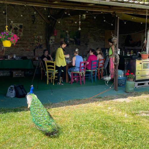 Kaffee, Tee & Kuchen im Schatten
