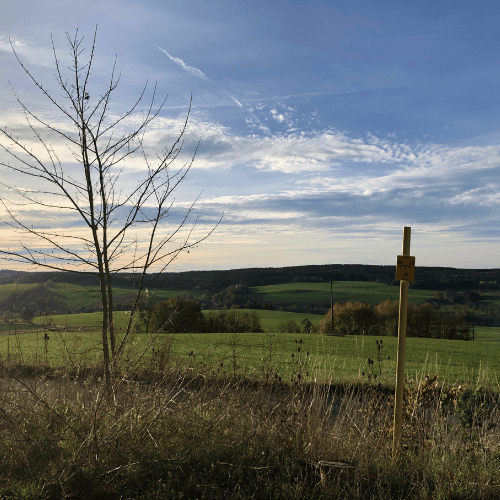 Aussicht vom Vipassana Zentrum Triebel