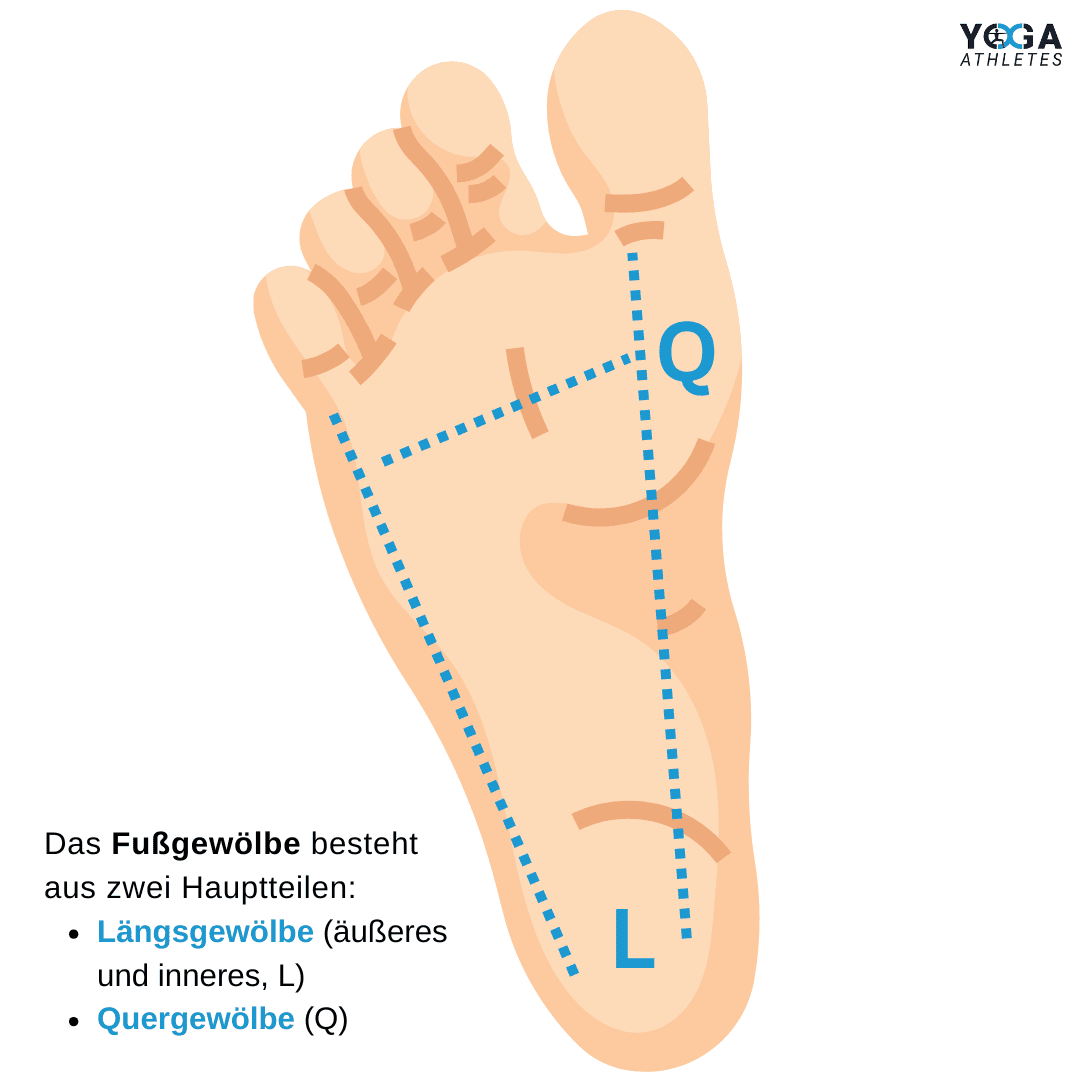 Fußgewölbe: Länge- und Quergewölbe