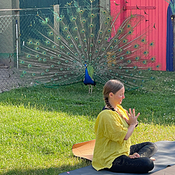Sabrina in Lotuspose mit Pfau im Hintergrund